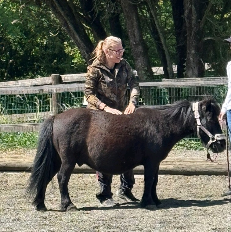 Massage myofascial pratiqué sur un poney